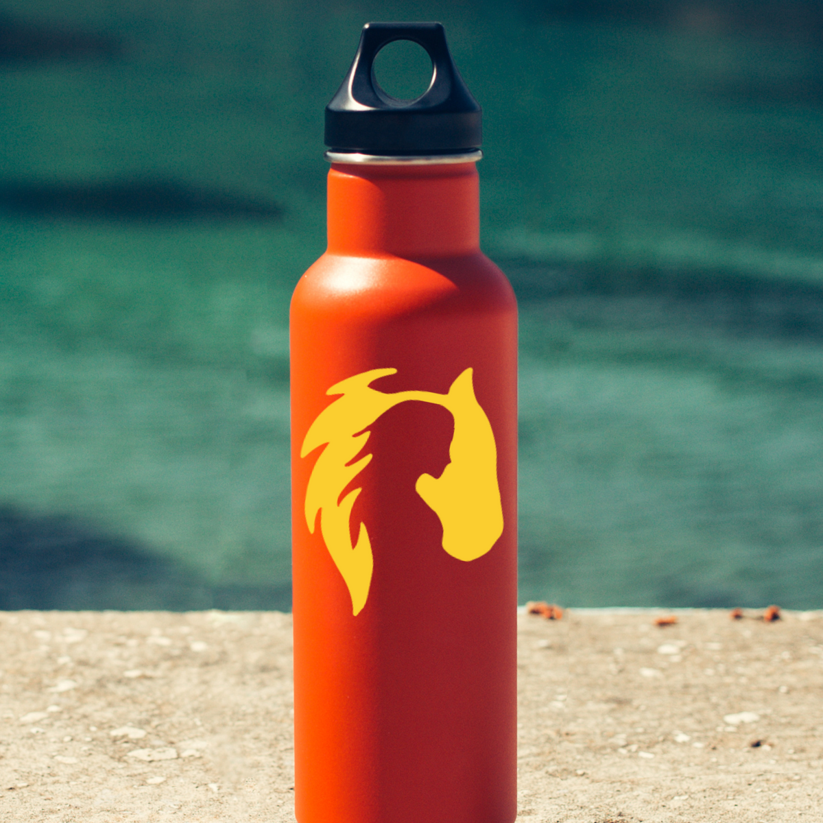 Horse & Woman Dual Silhouette Vinyl Decal