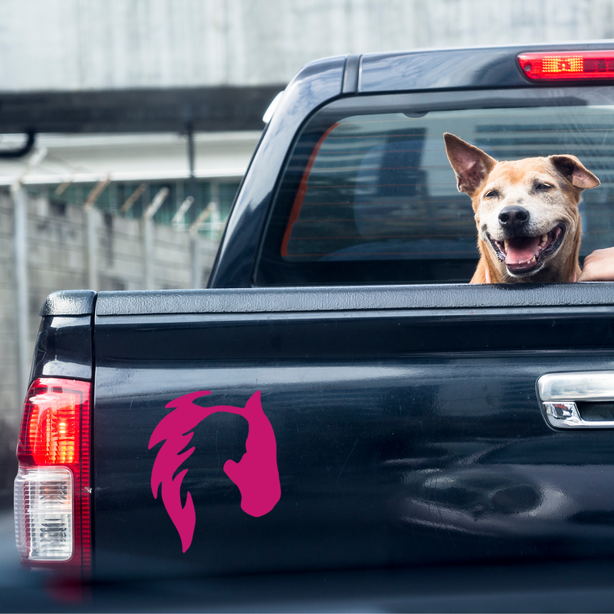 Horse & Woman Dual Silhouette Vinyl Decal