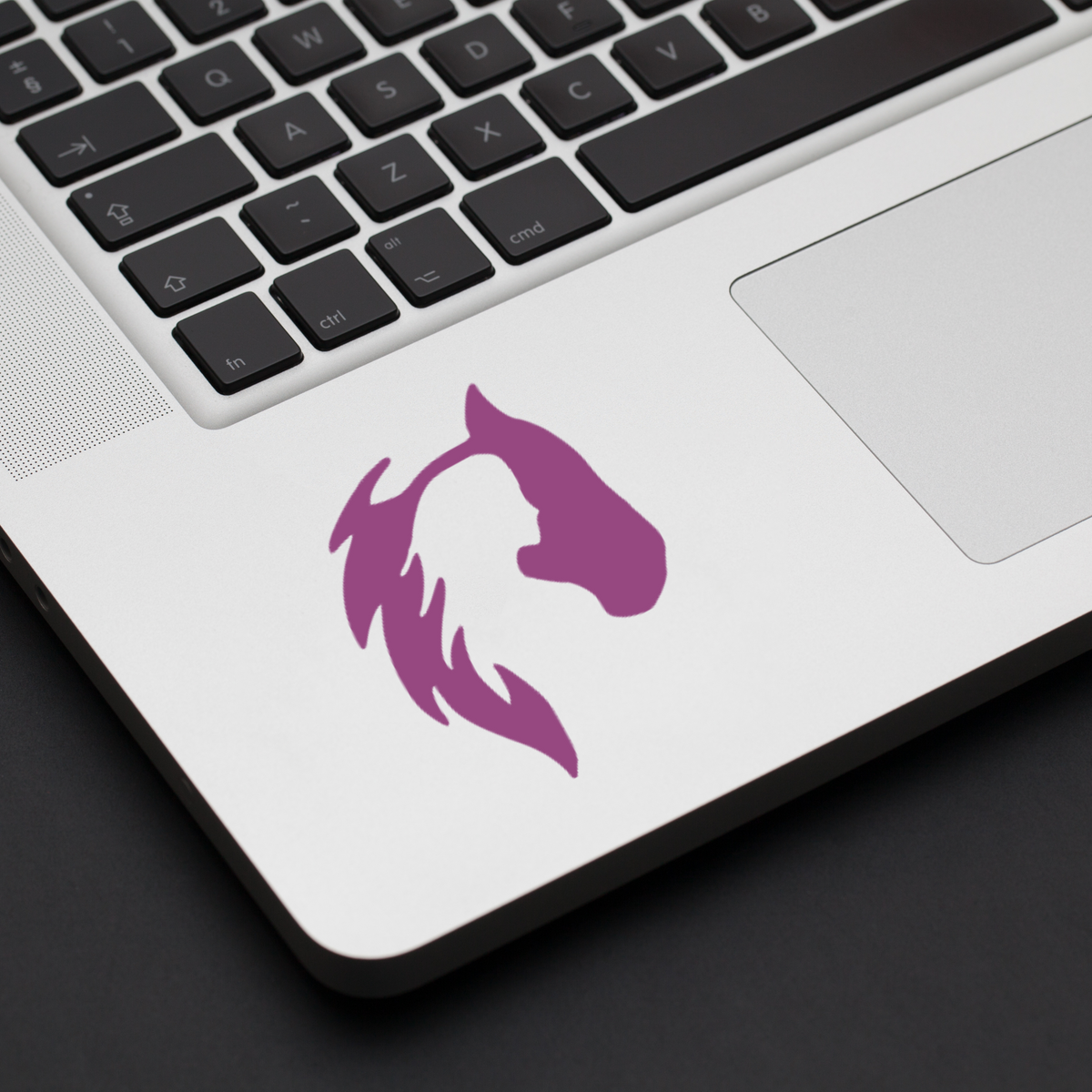 Horse & Woman Dual Silhouette Vinyl Decal